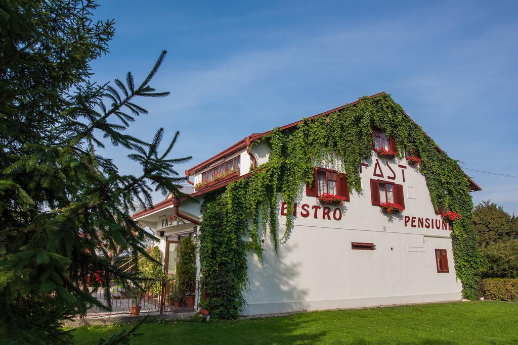Pension Hotel Fast Рэдэуци Экстерьер фото